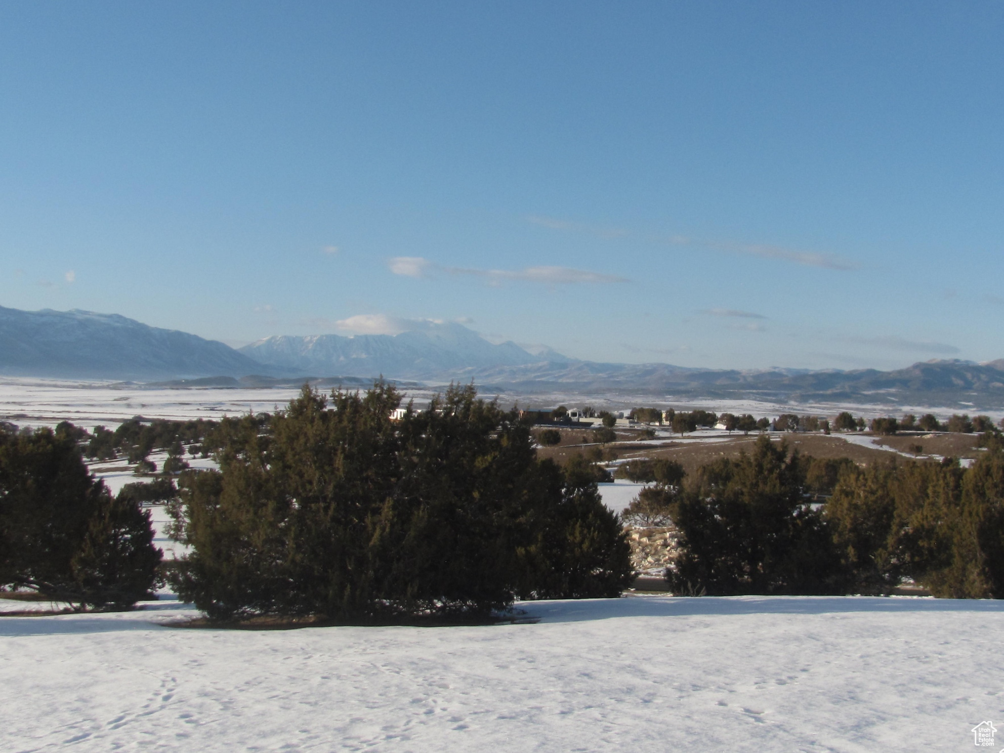 JUNIPER SPRING - Land