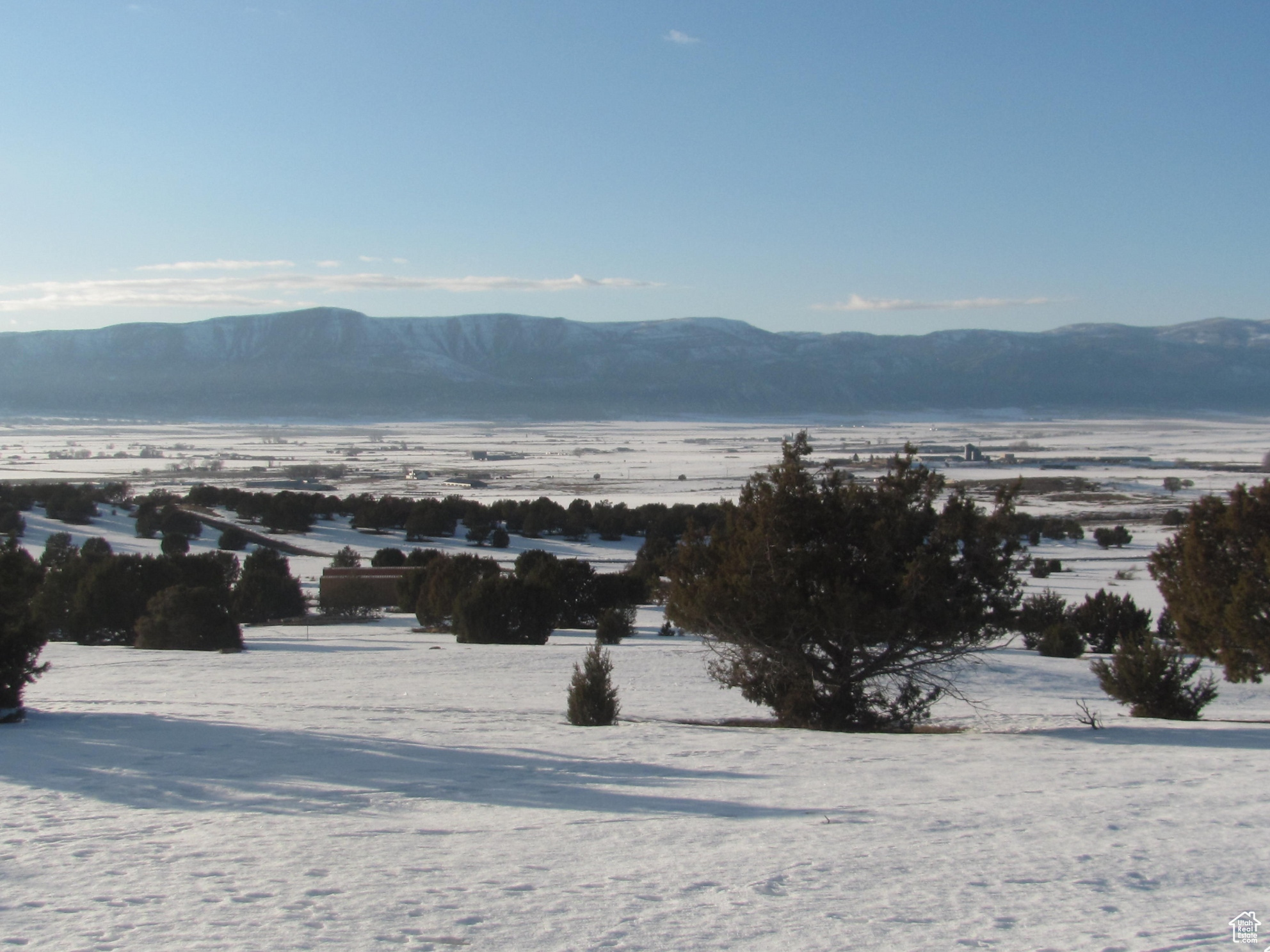 JUNIPER SPRING - Land