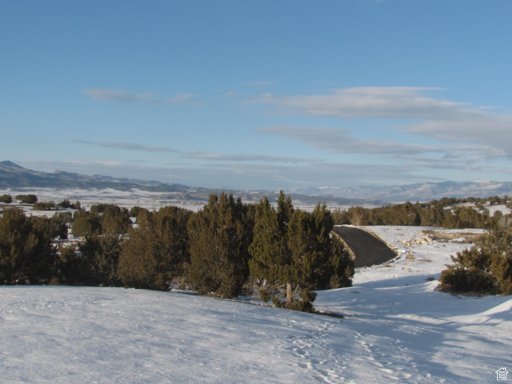 JUNIPER SPRING - Land