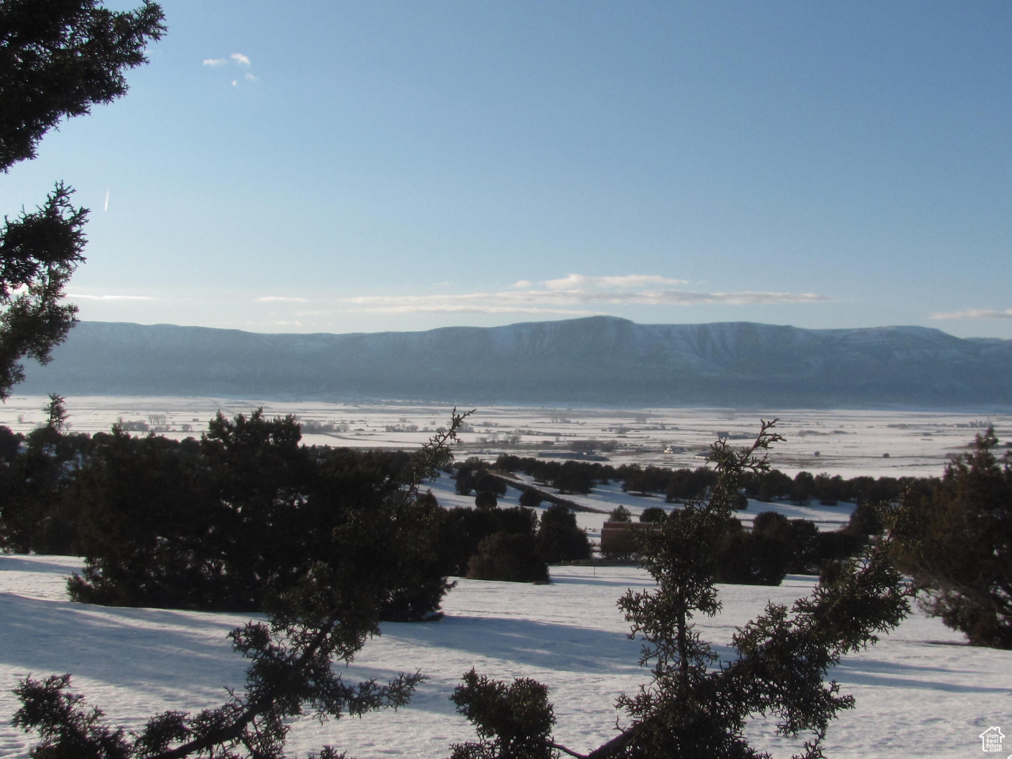 JUNIPER SPRING - Land