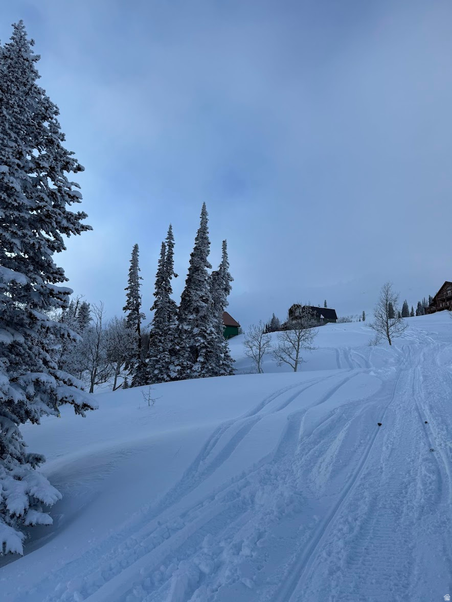 POWDER MOUNTAIN VILLAGE - Land