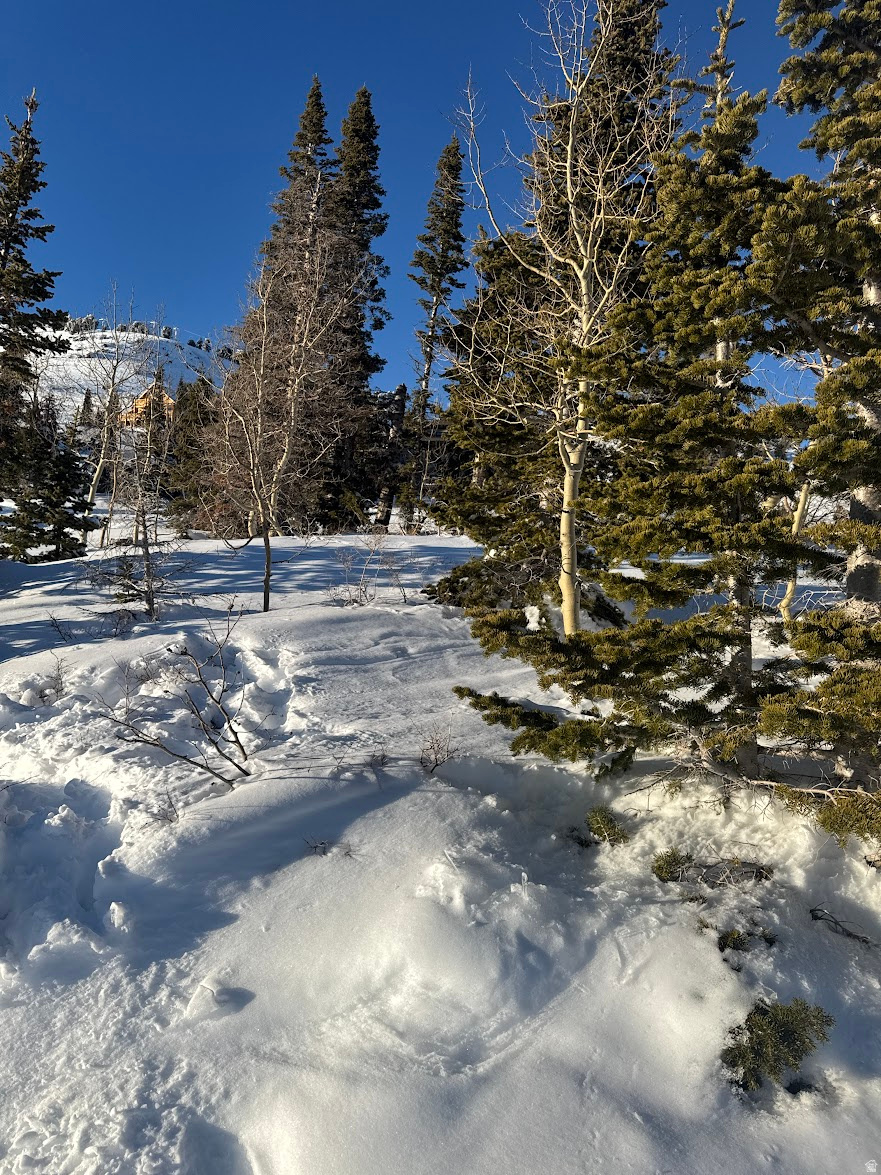 POWDER MOUNTAIN VILLAGE - Land