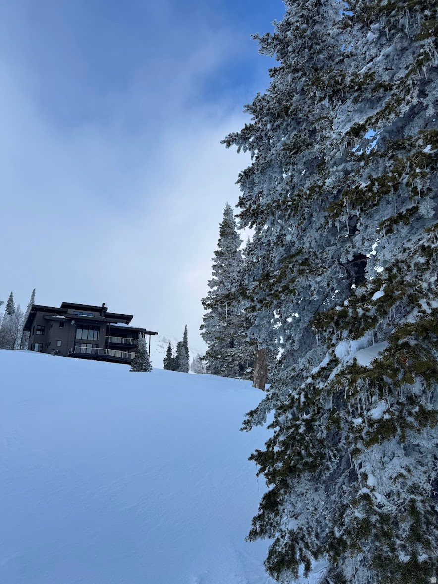 POWDER MOUNTAIN VILLAGE - Land