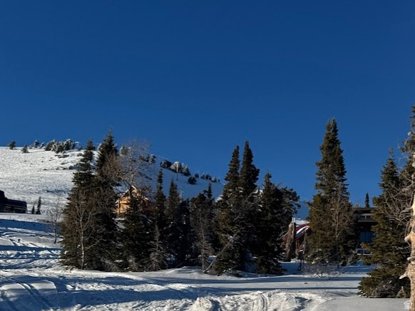 POWDER MOUNTAIN VILLAGE - Land