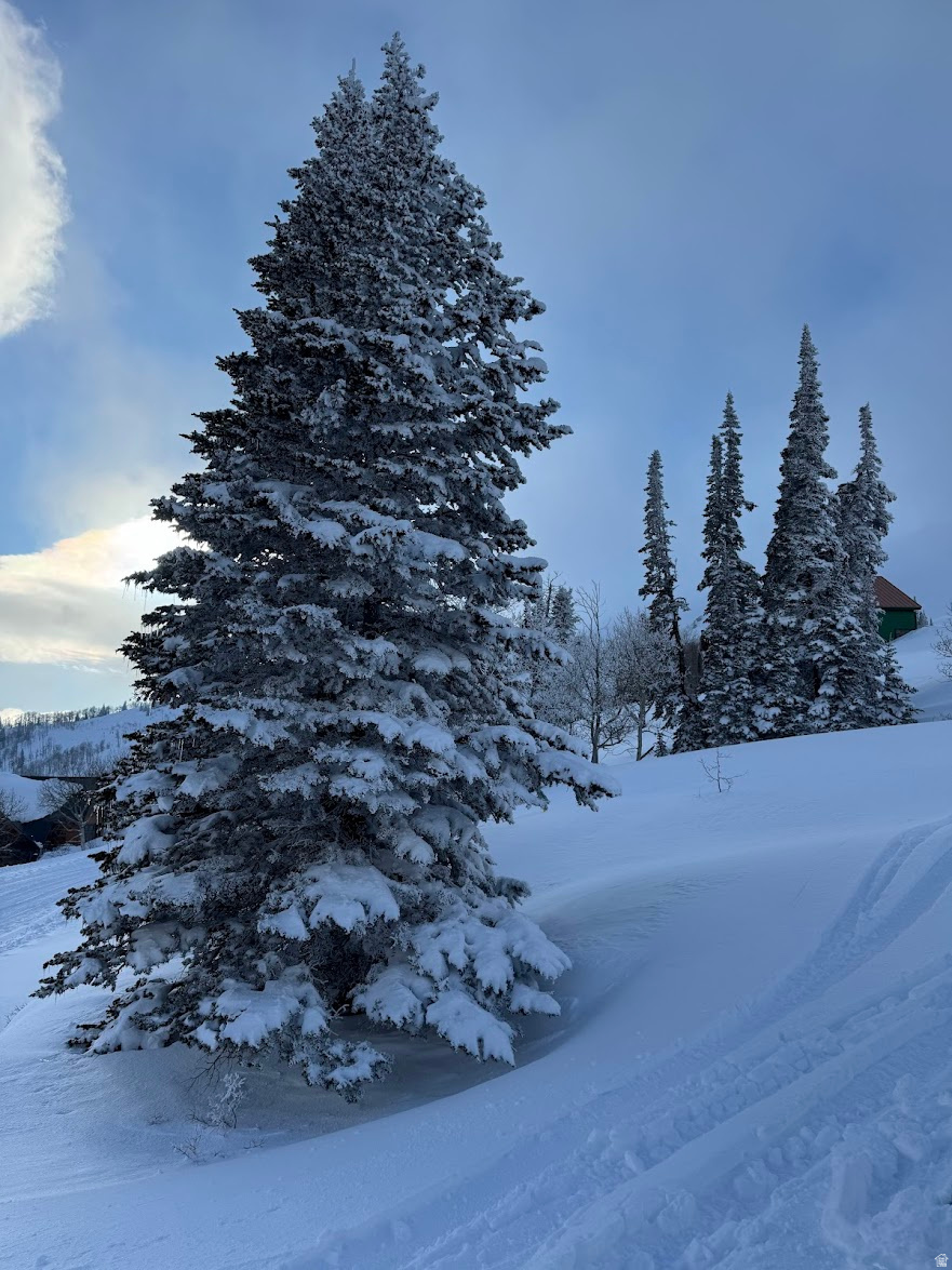 POWDER MOUNTAIN VILLAGE - Land