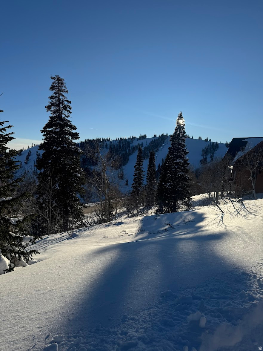 POWDER MOUNTAIN VILLAGE - Land