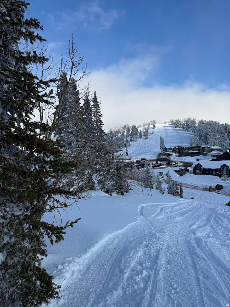 POWDER MOUNTAIN VILLAGE - Land