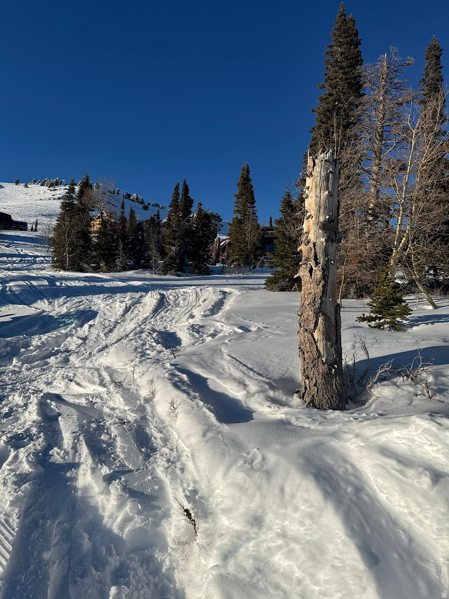 POWDER MOUNTAIN VILLAGE - Land
