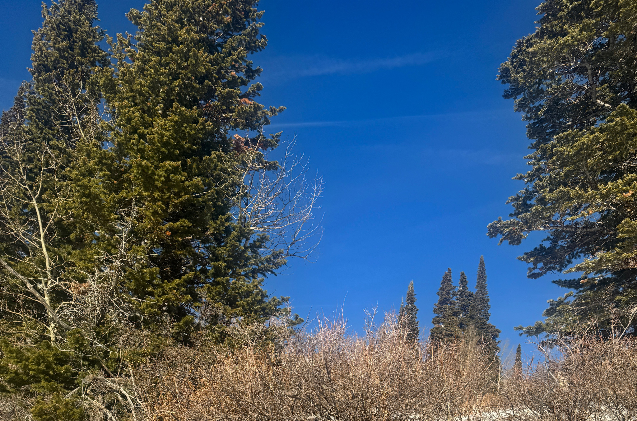 POWDER MOUTAIN VILLAGE - Land