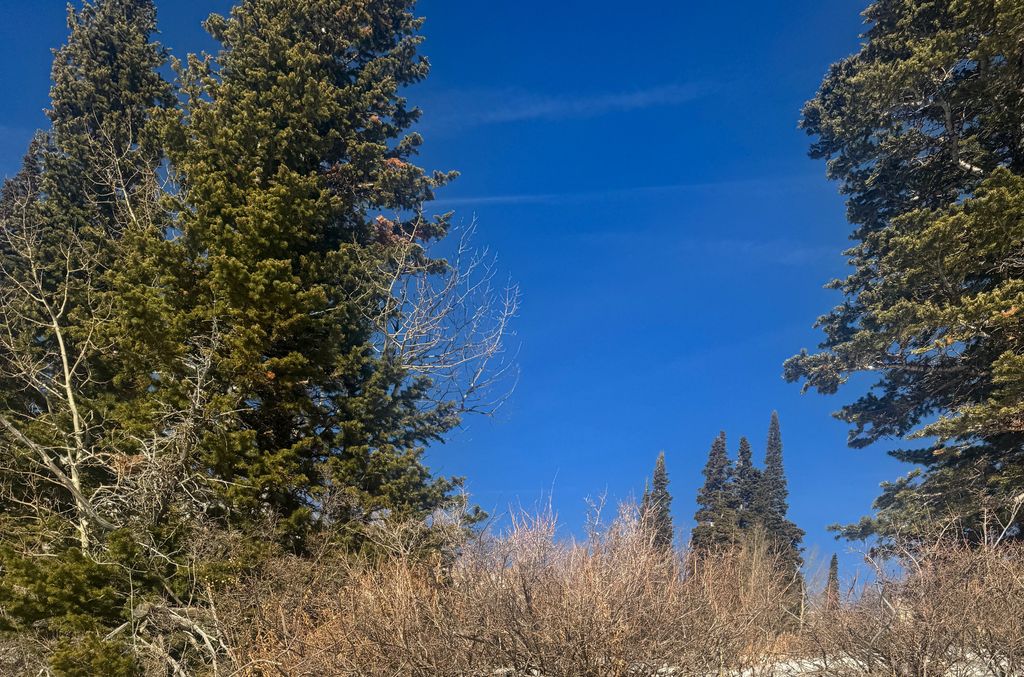 Photo of 6838 E 6675 N #2, Eden, UT 84310 (MLS # 2126986)