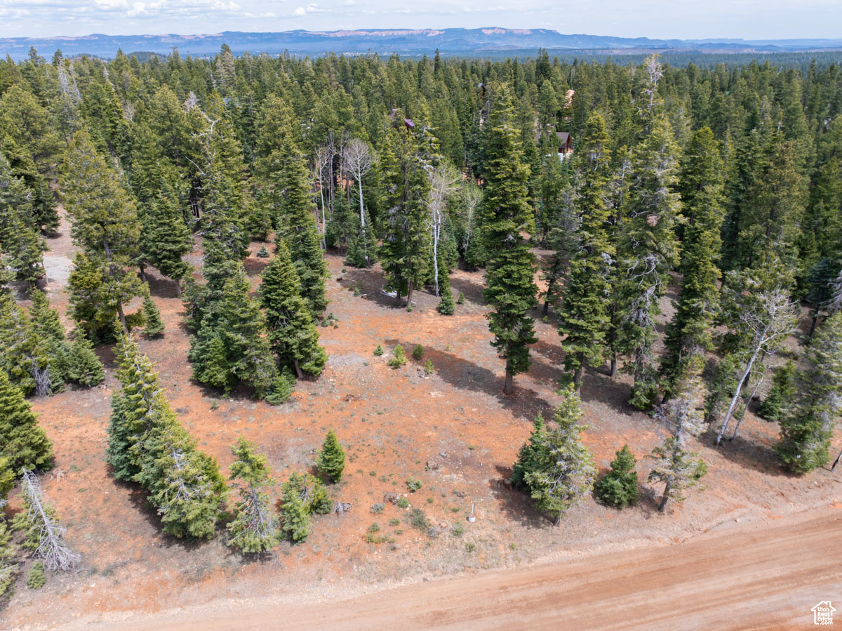 2970 N Smith & Wesson Cir #10, Duck Creek Village, Utah image 9