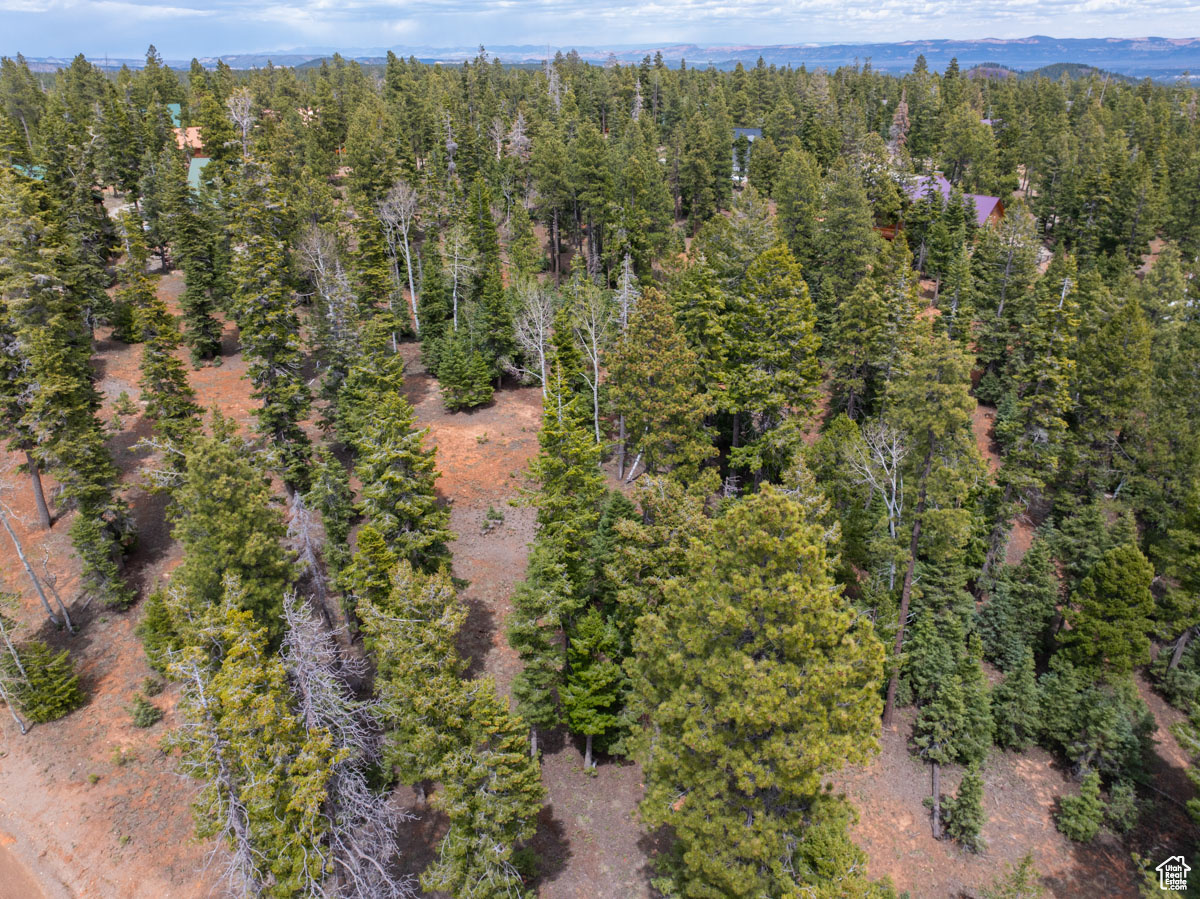 2970 N Smith & Wesson Cir #10, Duck Creek Village, Utah image 8