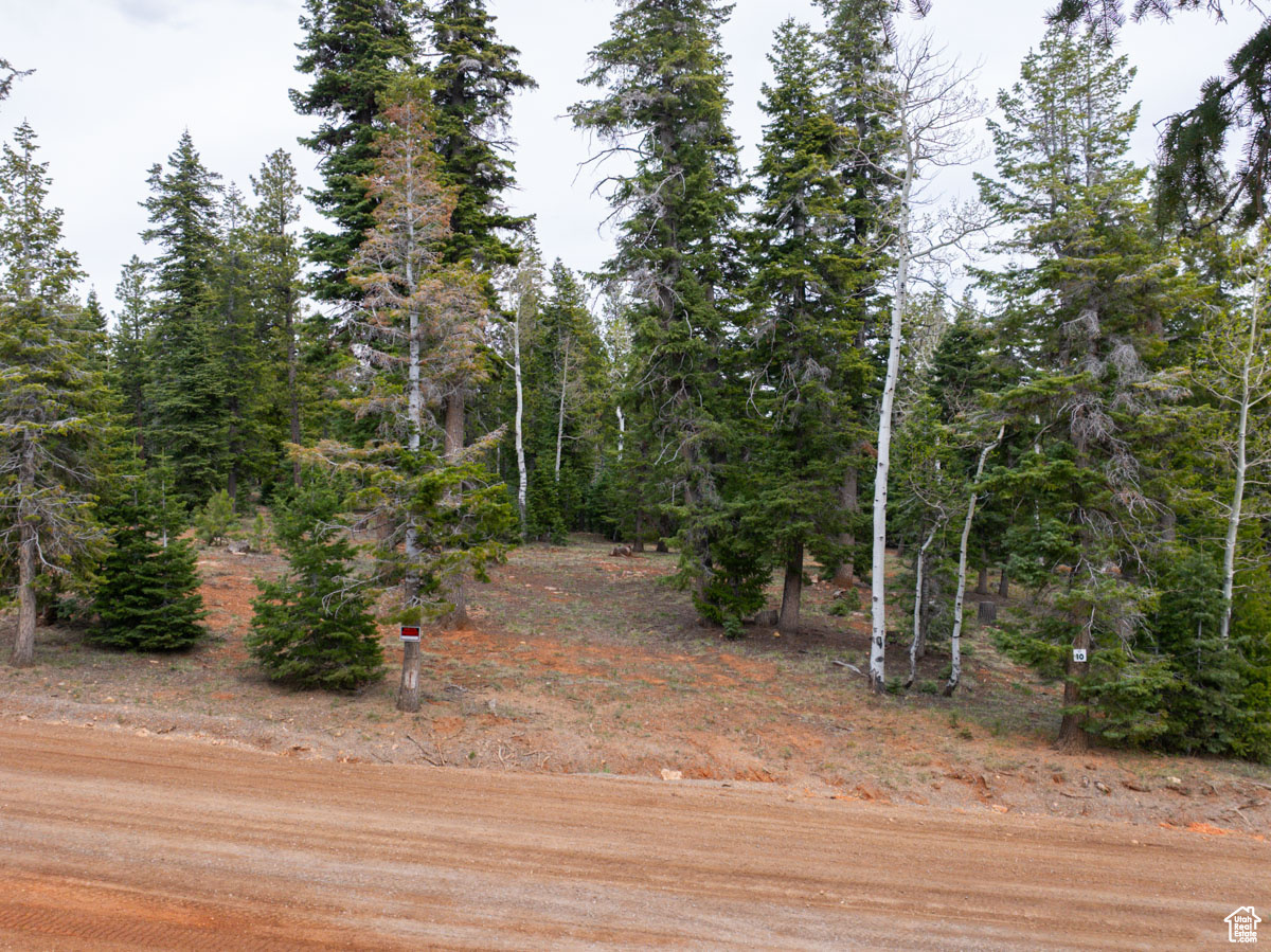 2970 N Smith & Wesson Cir #10, Duck Creek Village, Utah image 6