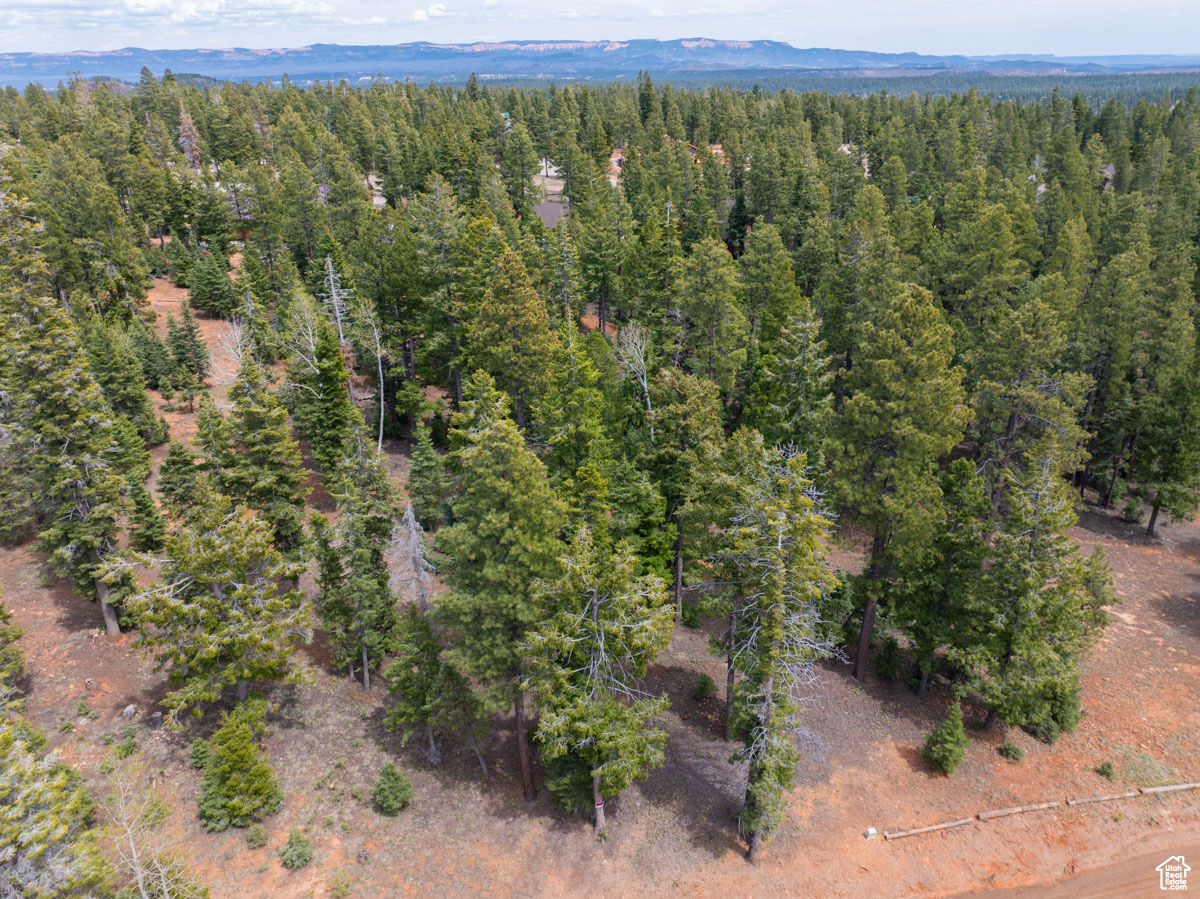 2970 N Smith & Wesson Cir #10, Duck Creek Village, Utah image 14