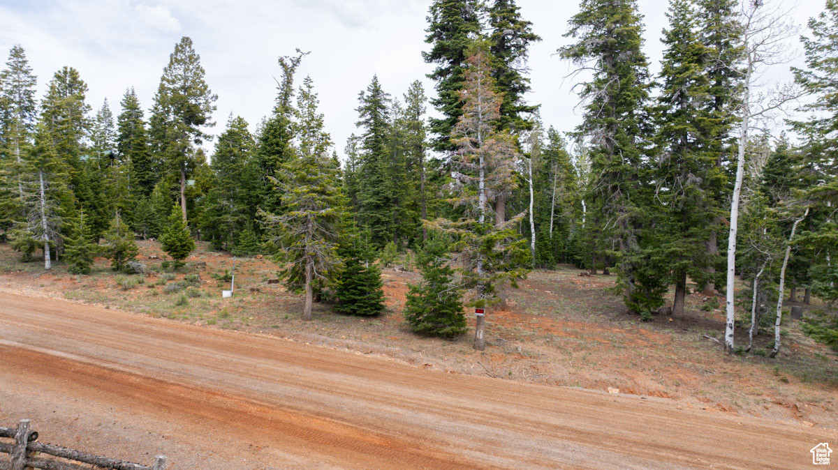 2970 N Smith & Wesson Cir #10, Duck Creek Village, Utah image 11
