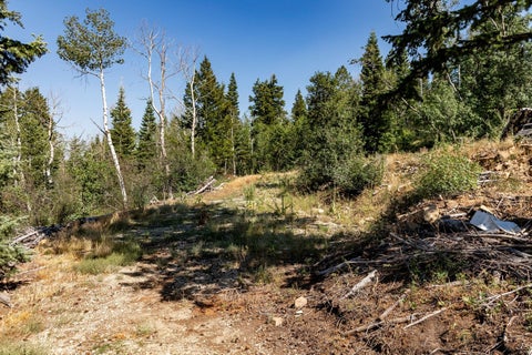 Tiny photo for 17102 S ALTA DR #D82, Spanish Fork, UT 84660 (MLS # 2176964)