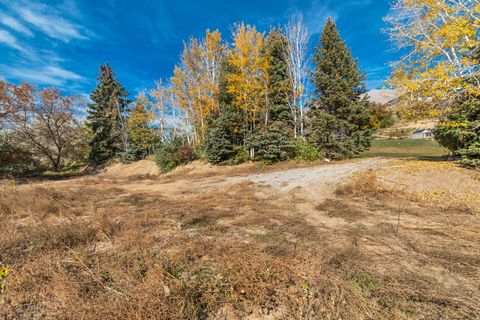 Tiny photo for 1643 MOUNTAIN OAKS DR, Orem, UT 84097 (MLS # 2121050)