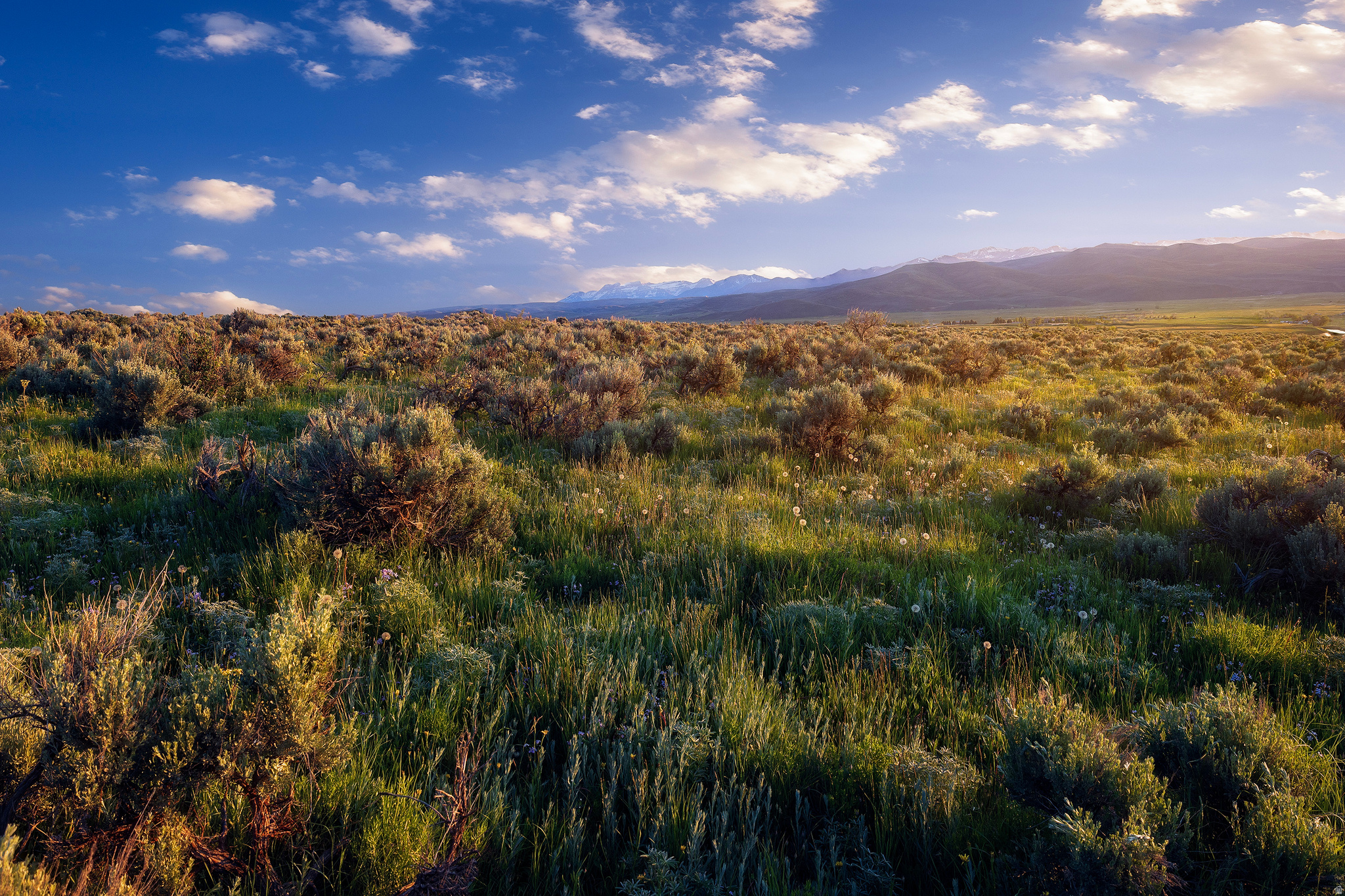 HOYT PEAK RANCH - Land