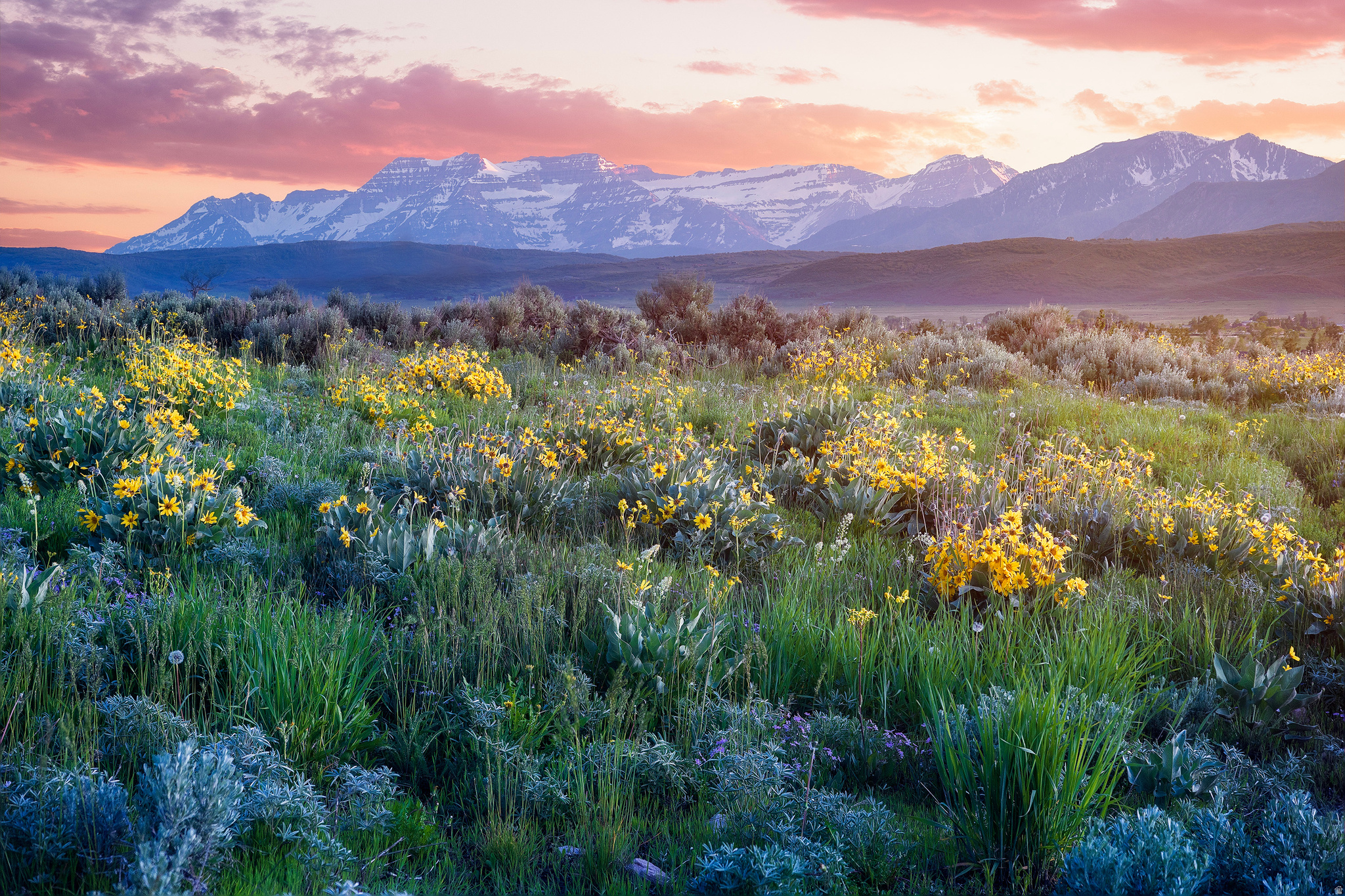 HOYT PEAK RANCH - Land
