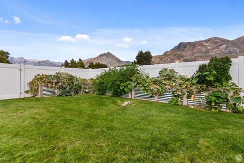 Tiny photo for 4616 W CARRIAGE LN, Cedar Hills, UT 84062 (MLS # 2113018)