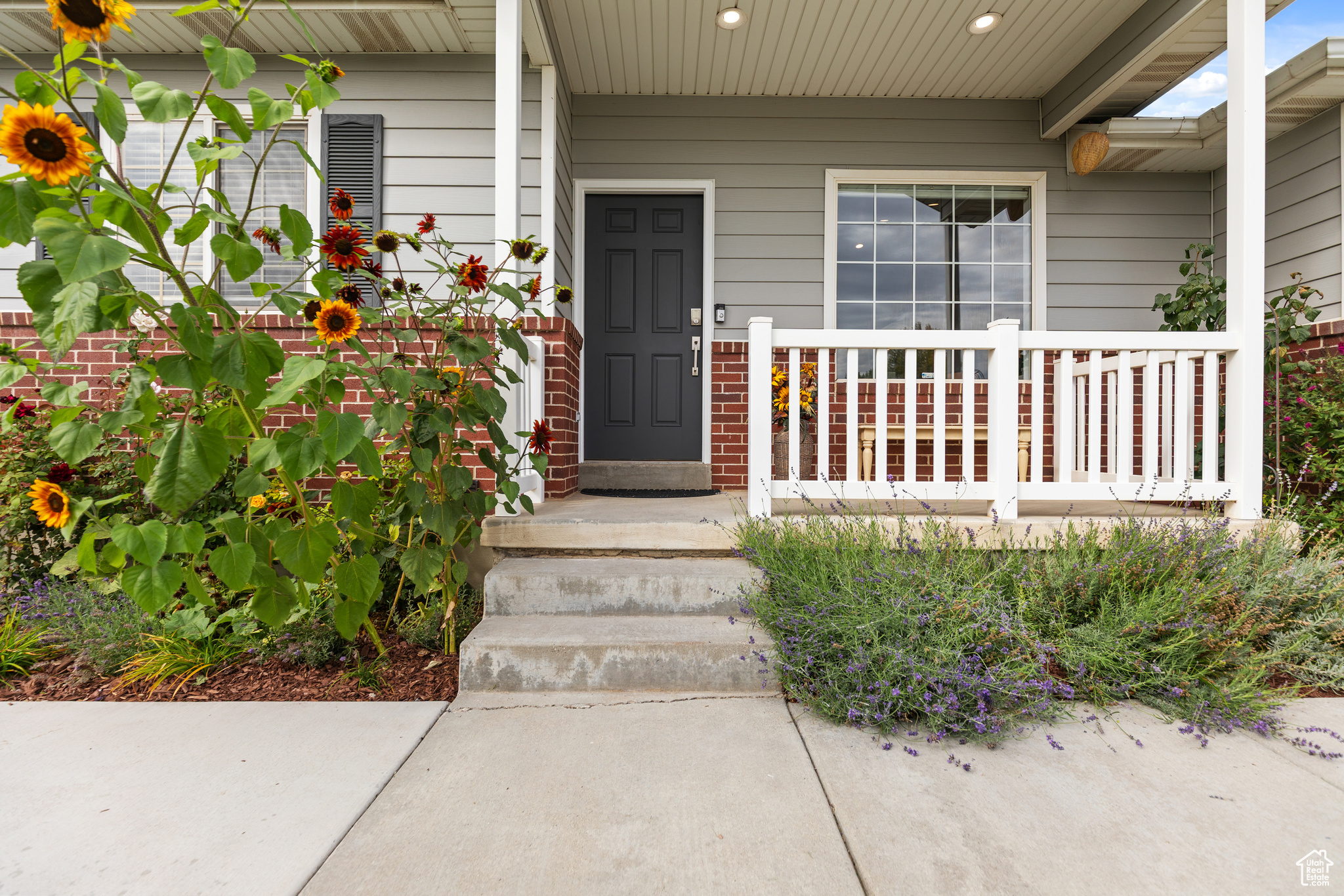 FOREST CREEK PHASE 5 - Residential