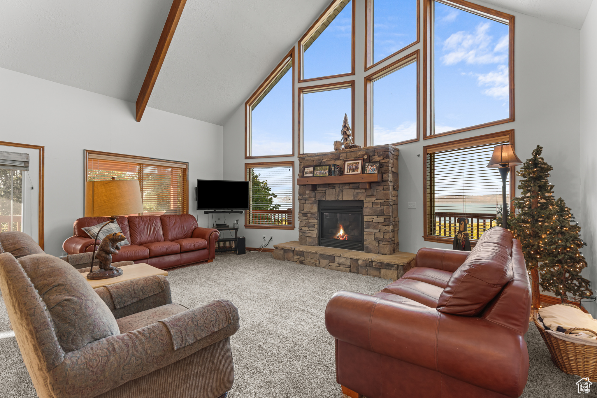 SWAN CREEK VILLAGE - Residential