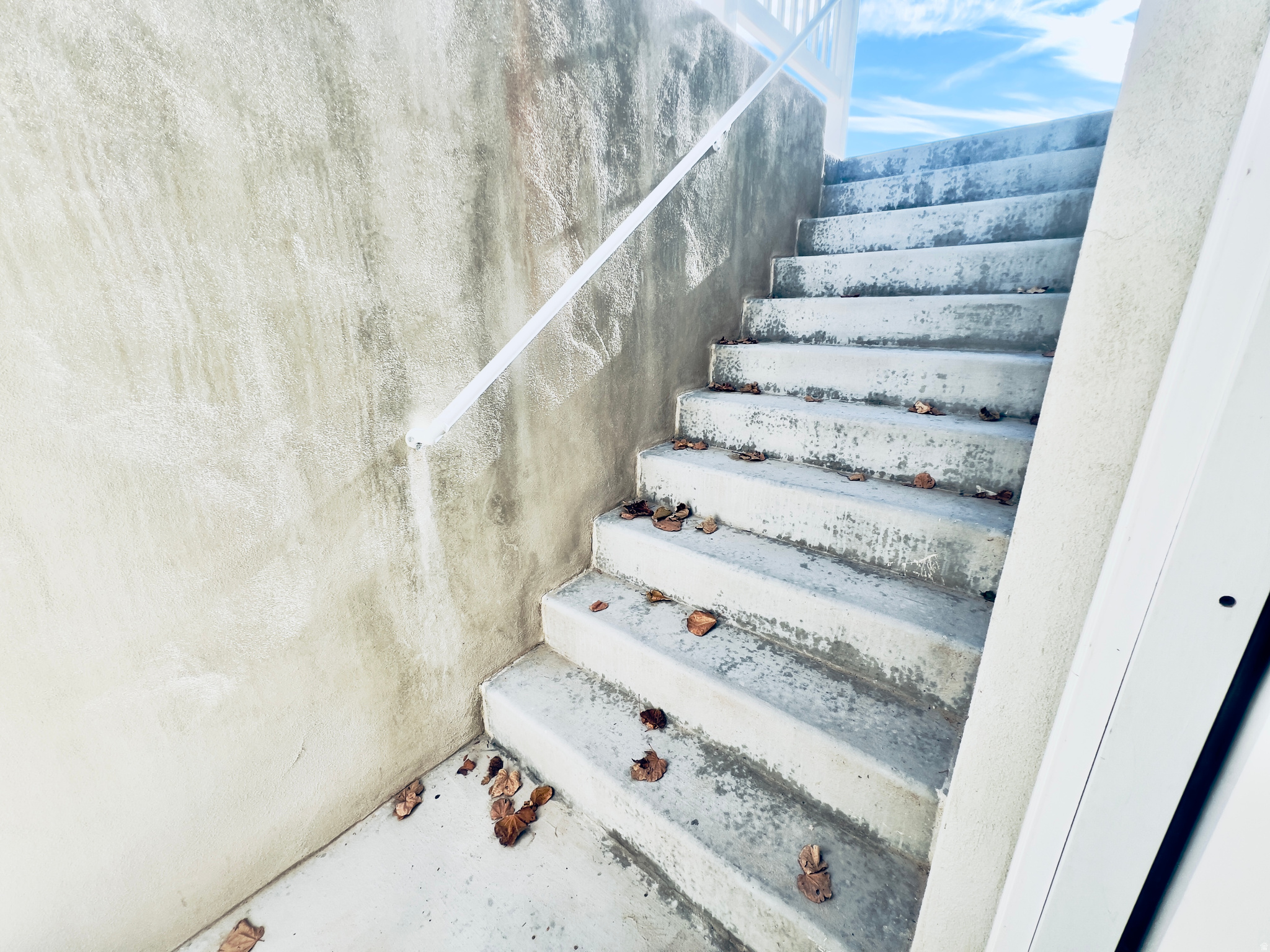 BRANDON PARK - Residential