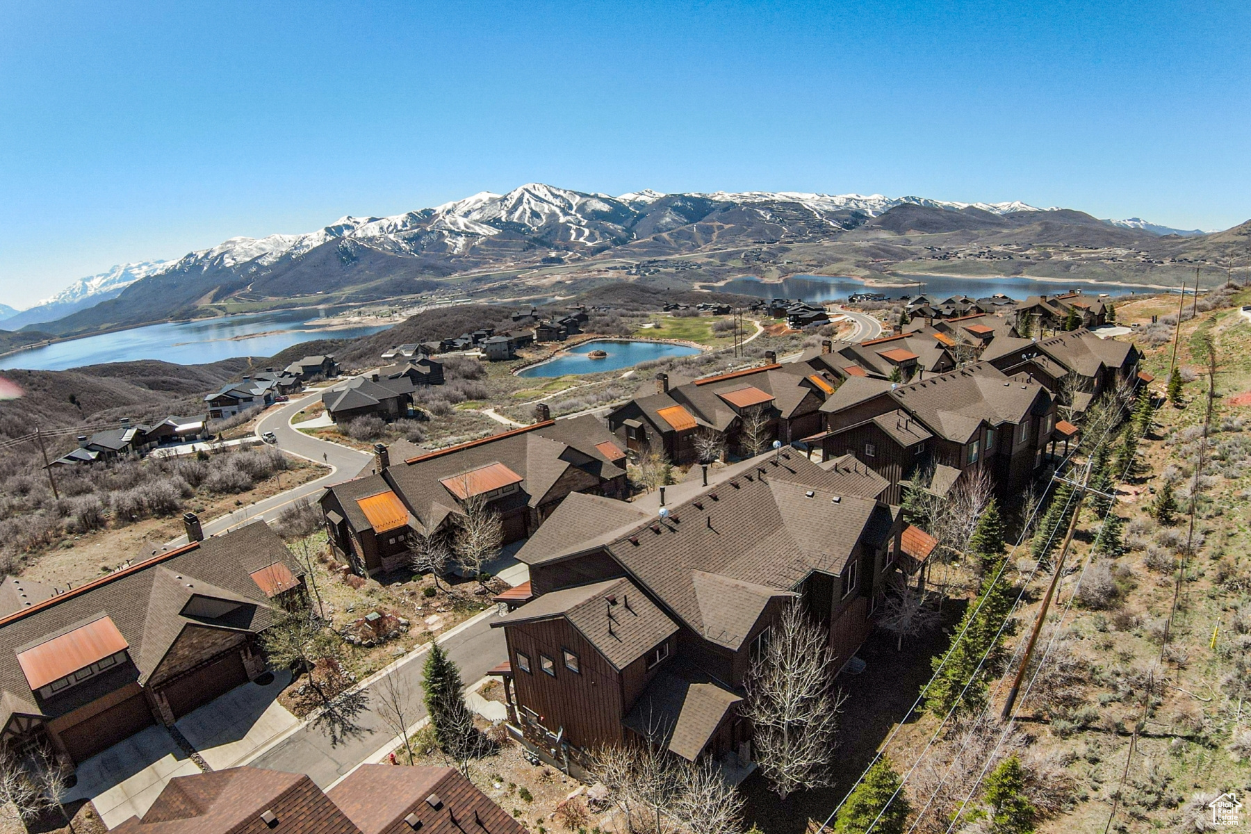 RUSTLER - Residential Lease