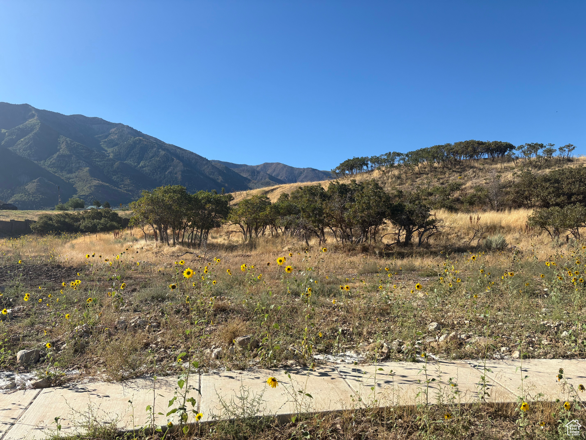 Seller will discount $10k for any lot closed by end of October, 2025. This is our largest lot in the entire development and features a concrete wall all along the east side of the property. Located at the end of a quiet cul de sac; all utilities are stubbed and ready for a building permit. This is one of the last lots left in plat D. Bring your own builder or we would be happy to recommend one to you.