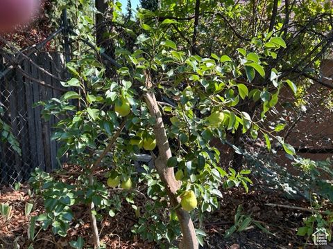 Tiny photo for 722 E 7TH AVE, Salt Lake City, UT 84103 (MLS # 2110035)