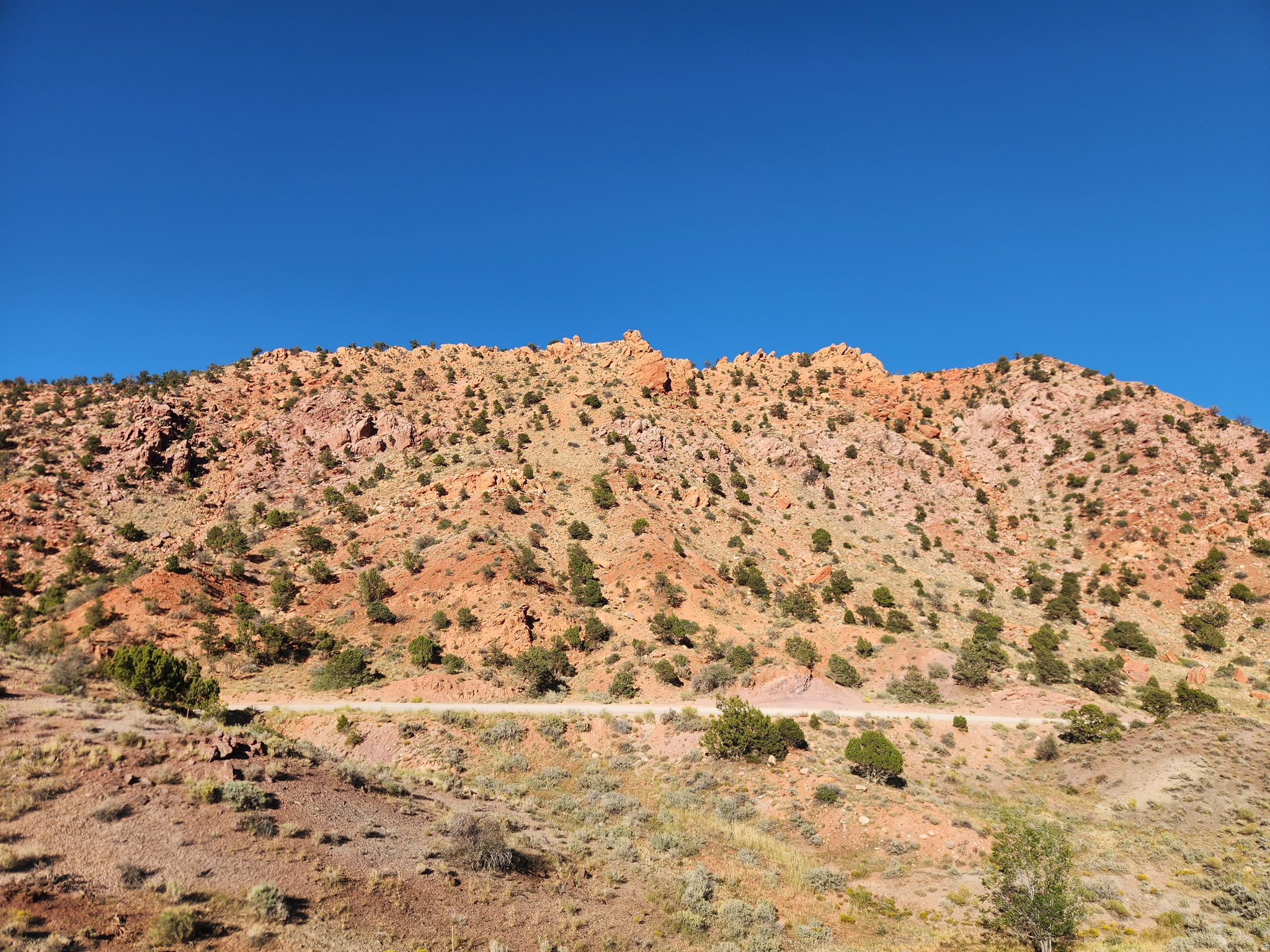 THUNDERBIRD GARDENS ESTATES PUD - Residential