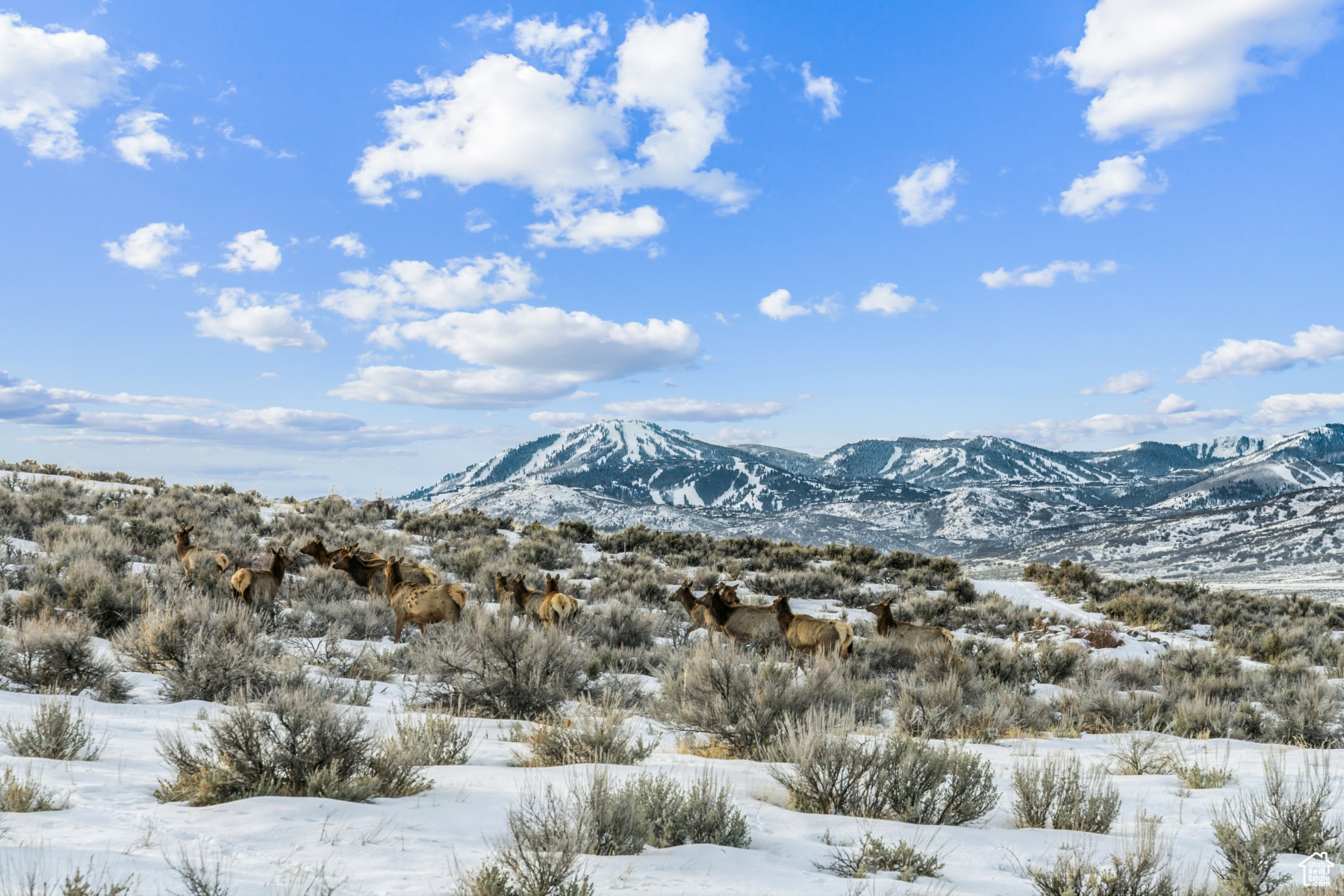 6749 White Dove Way, Park City, Utah image 17