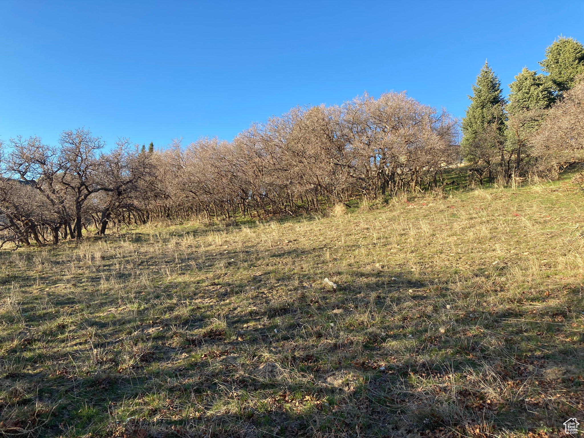 Land, Duchesne, Utah image 4