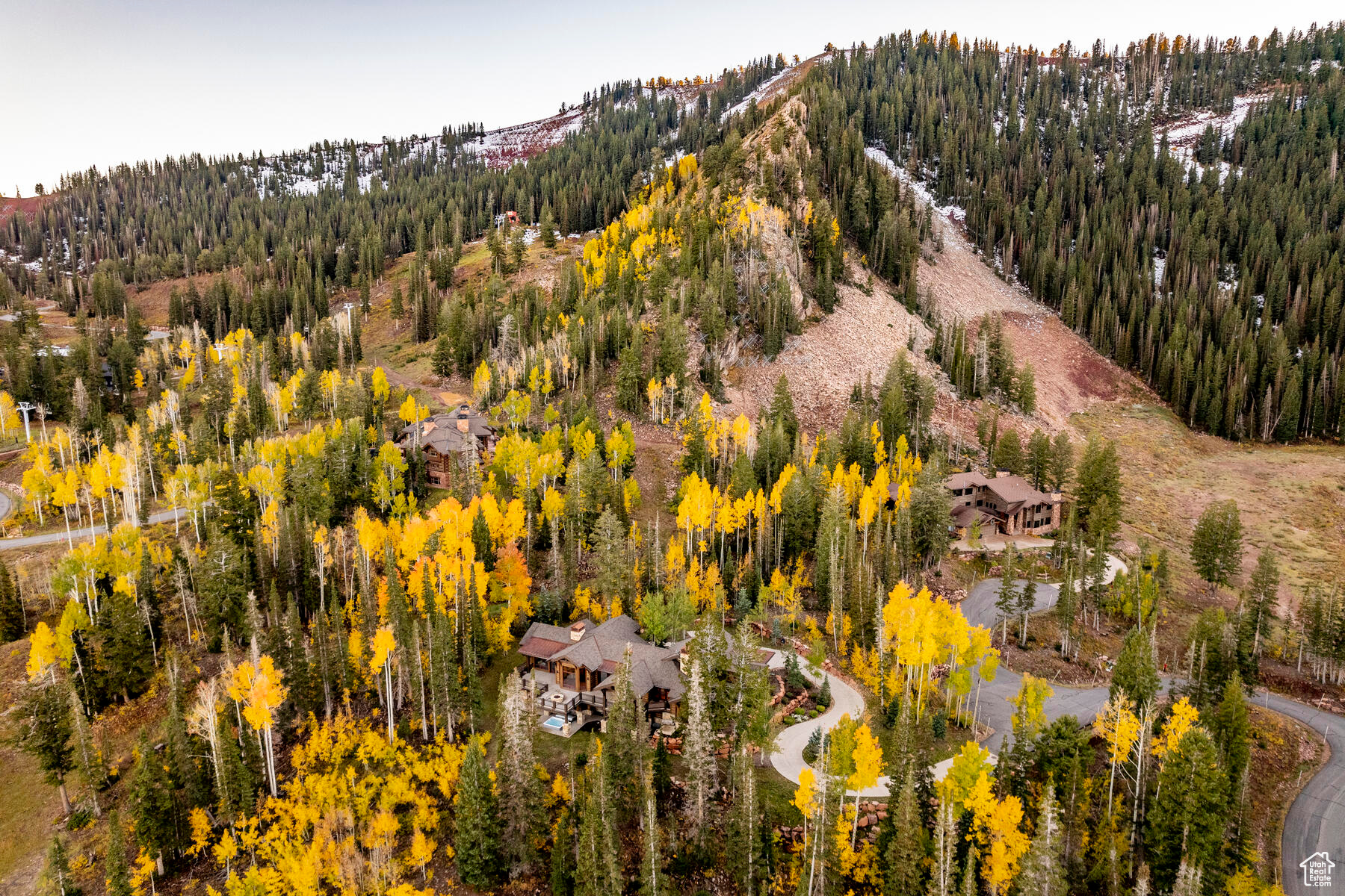 COLONY AT WHITE PINE - Residential