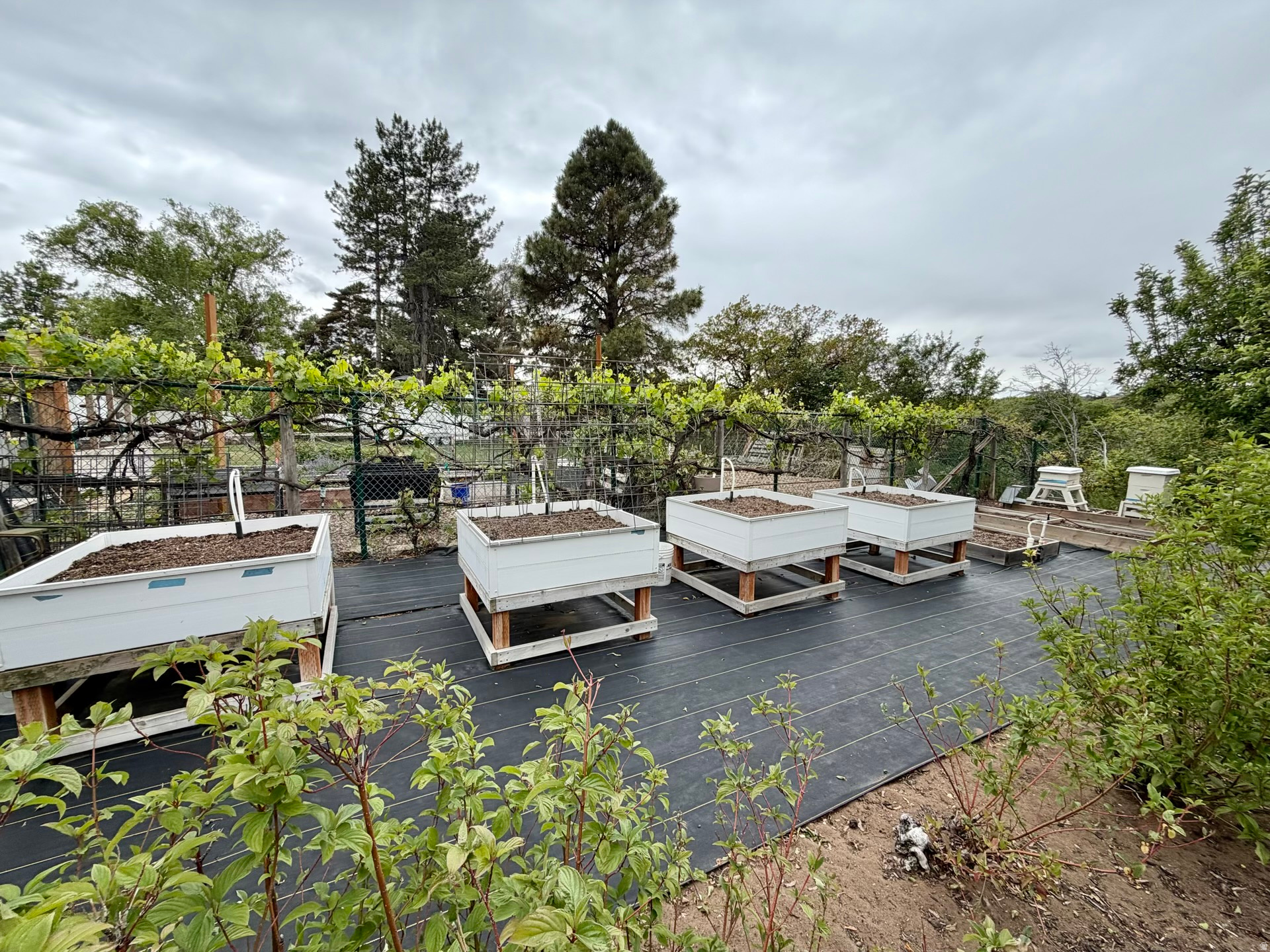 OAK FORREST NO 12 PLAT A - Residential