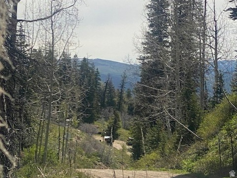 PINE MEADOW RANCH - Land
