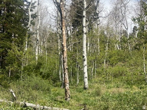PINE MEADOW RANCH - Land