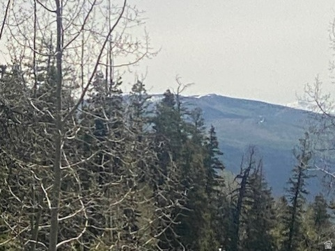 PINE MEADOW RANCH - Land