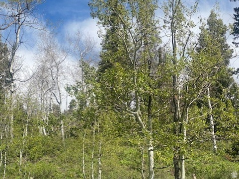 PINE MEADOW RANCH - Land