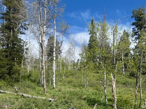 PINE MEADOW RANCH - Land