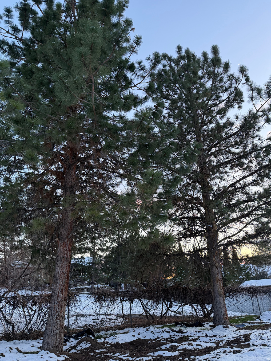 PEPPERWOOD - Residential