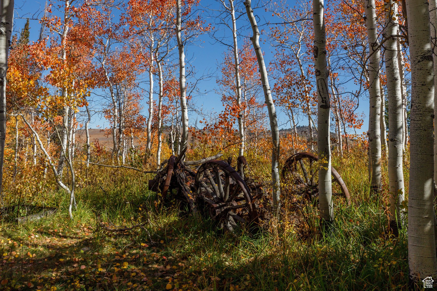 SUNRIDGE HIGHLANDS - Residential