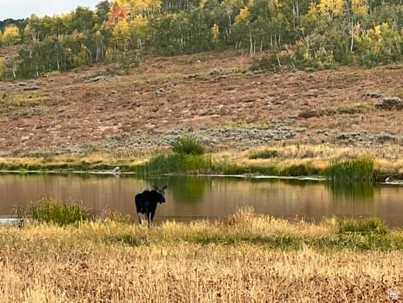 SUNRIDGE HIGHLANDS - Residential