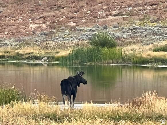 SUNRIDGE HIGHLANDS - Residential