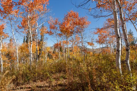 Tiny photo for 10964 E CHUKAR DR #167, Huntsville, UT 84317 (MLS # 2115731)
