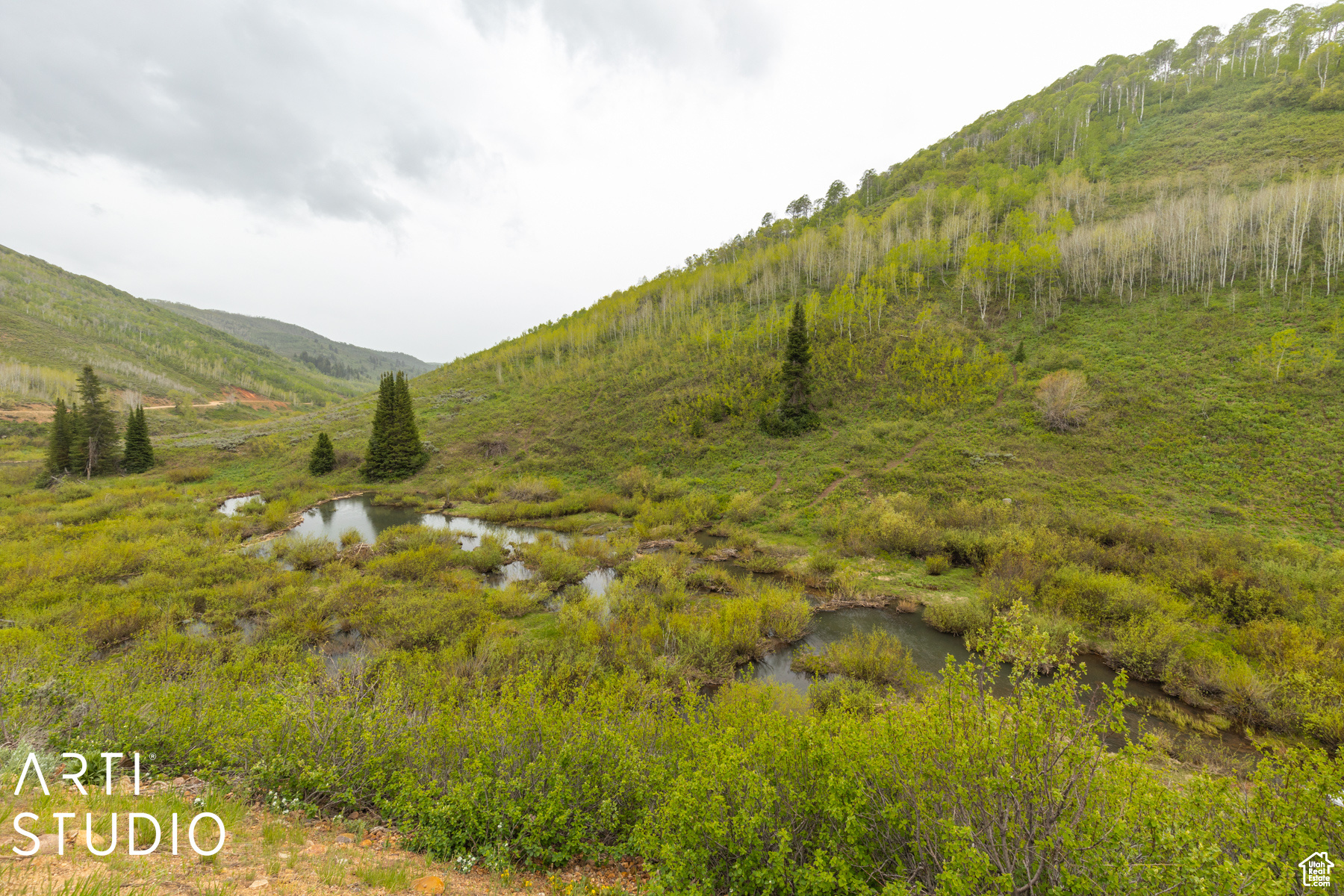 SUNRIDGE HIGHLANDS - Residential