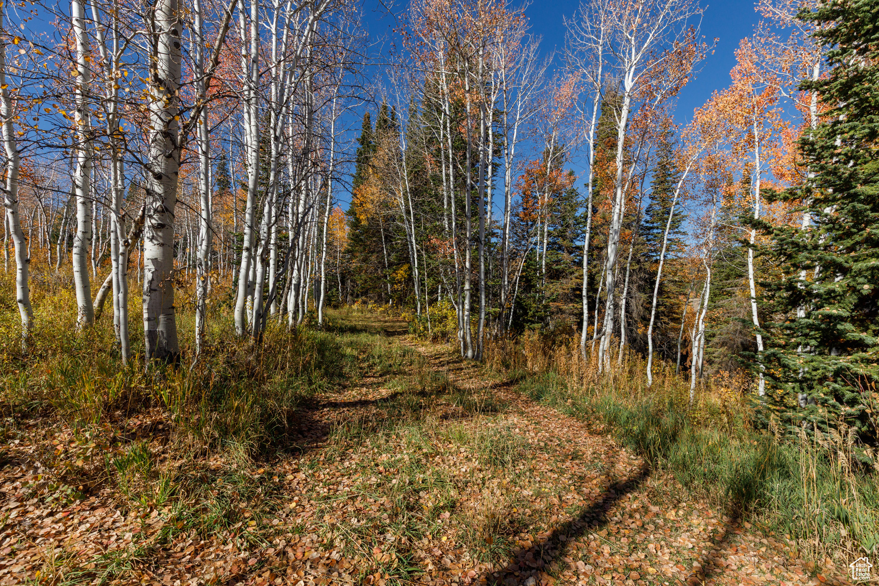 SUNRIDGE HIGHLANDS - Residential