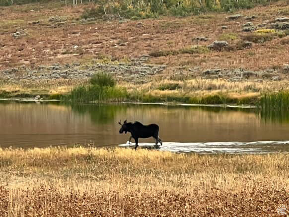 SUNRIDGE HIGHLANDS - Residential