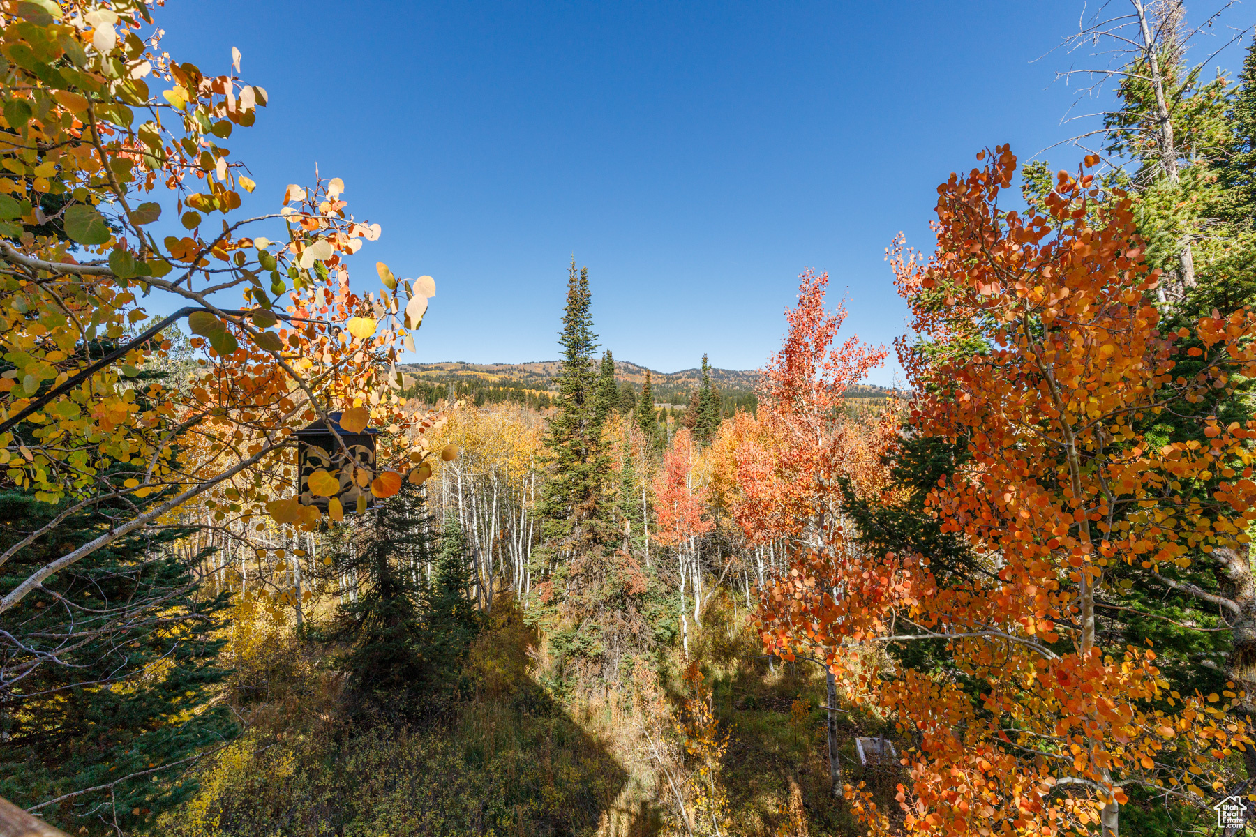 SUNRIDGE HIGHLANDS - Residential