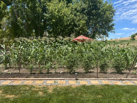 Tiny photo for 425 N STATE ST, Richmond, UT 84333 (MLS # 2172904)